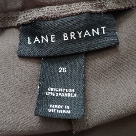 Lane Bryant Brown Pull On Stretchy Pants Size  26 EUC - Picture 9 of 10